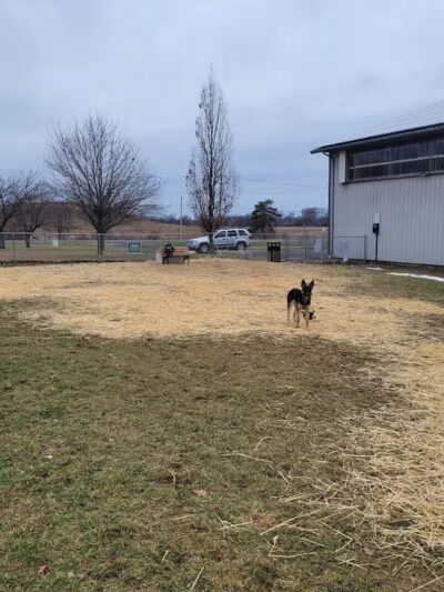 Medina Dog Park - Medina, NY