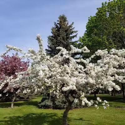 Smith Park - Menasha, WI