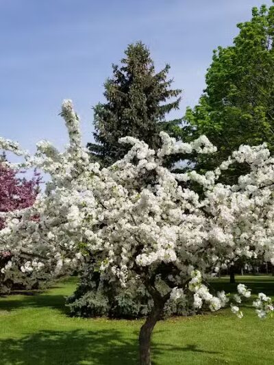 Smith Park - Menasha, WI