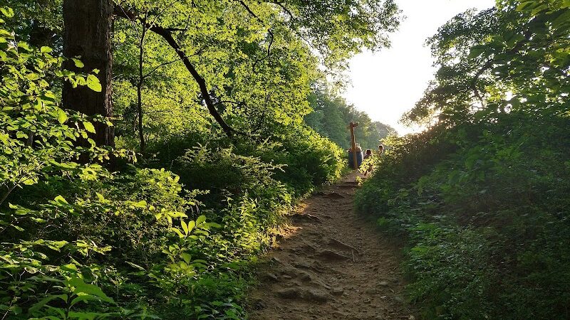 Buttermilk Falls Combs Hollow Parking Area - Mendham Township, NJ