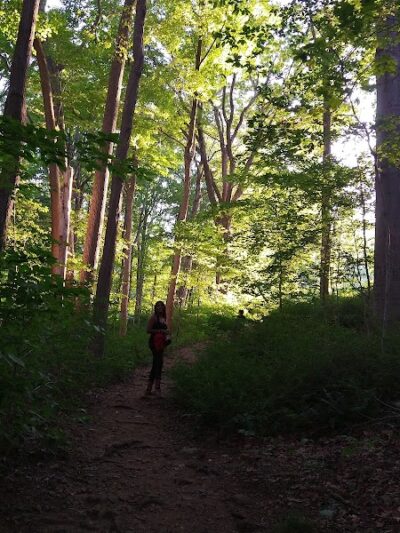 Buttermilk Falls Combs Hollow Parking Area - Mendham Township, NJ