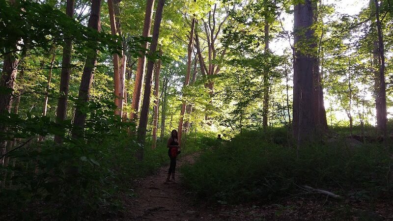 Buttermilk Falls Combs Hollow Parking Area - Mendham Township, NJ
