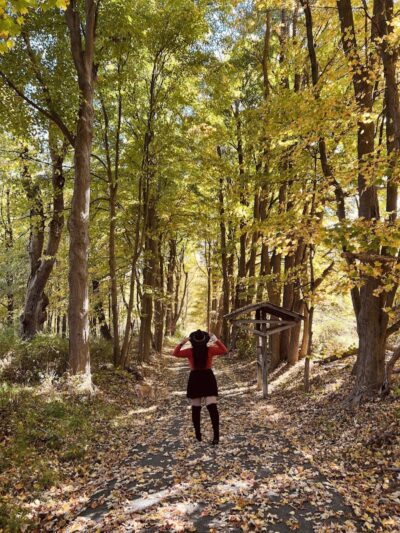 Buttermilk Falls Combs Hollow Parking Area - Mendham Township, NJ
