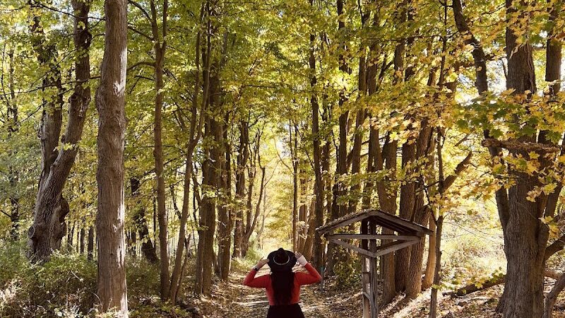 Buttermilk Falls Combs Hollow Parking Area - Mendham Township, NJ