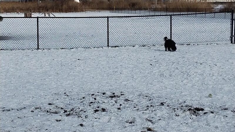 City of Mentor Dog Park - Mentor, OH