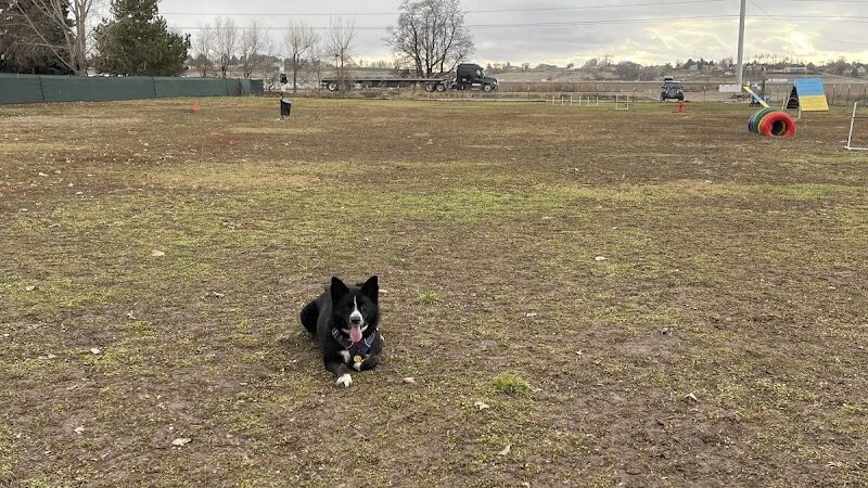 Unleashed Unlimited Private Dog Park