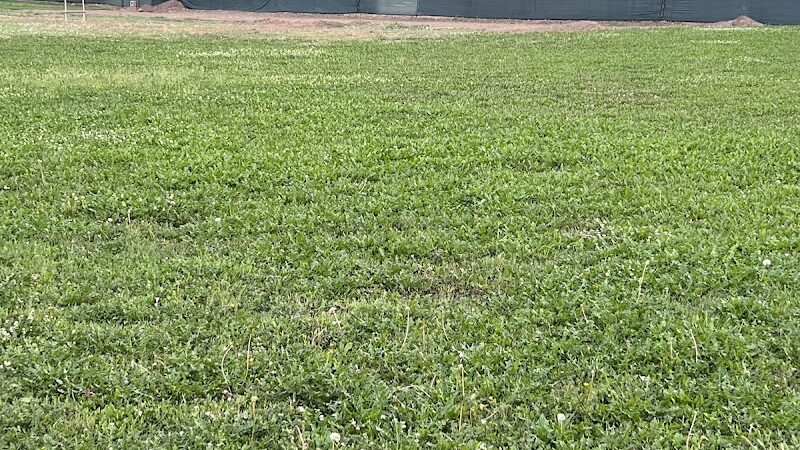 Unleashed Unlimited Private Dog Park