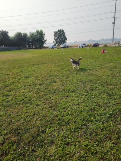 Unleashed Unlimited Private Dog Park