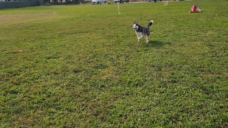 Unleashed Unlimited Private Dog Park