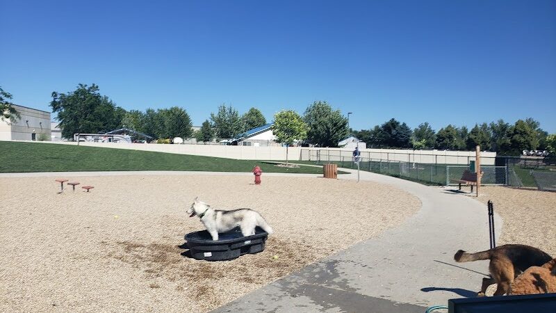 Storey Bark Park
