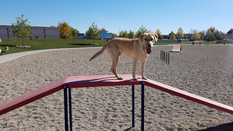 Storey Bark Park