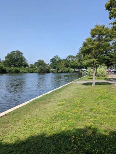 Cammanns Pond County Park - Merrick, NY
