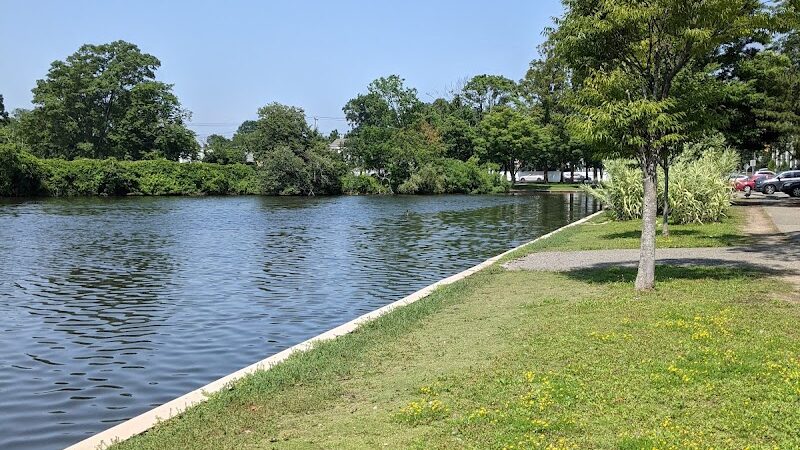 Cammanns Pond County Park - Merrick, NY