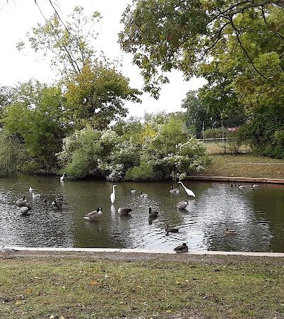 Cammanns Pond County Park - Merrick, NY