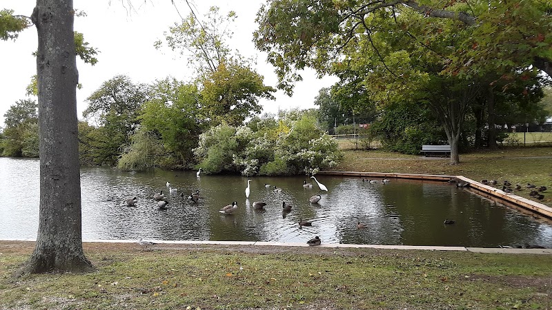 Cammanns Pond County Park - Merrick, NY