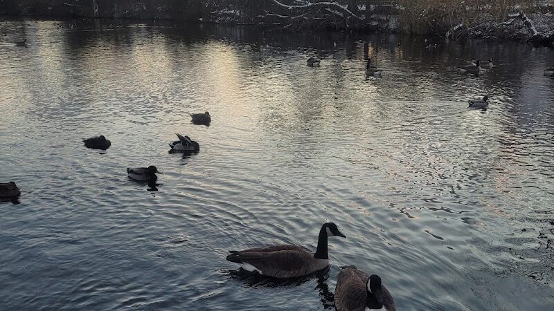 Cammanns Pond County Park - Merrick, NY