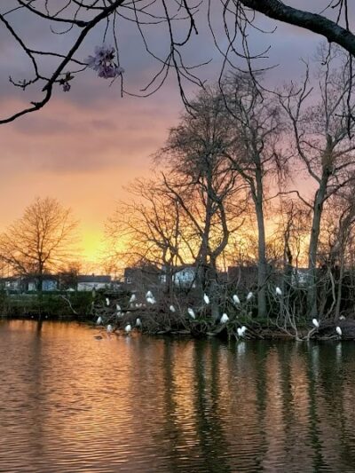 Cammanns Pond County Park - Merrick, NY