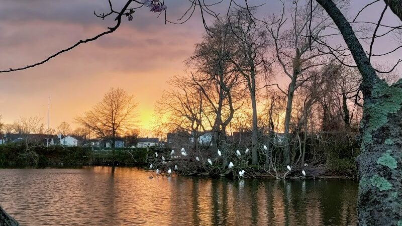 Cammanns Pond County Park - Merrick, NY