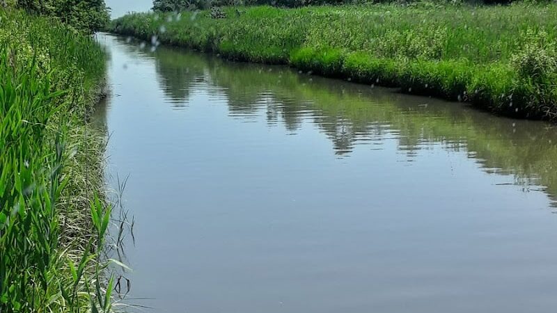 Merrick Road Park - Merrick, NY