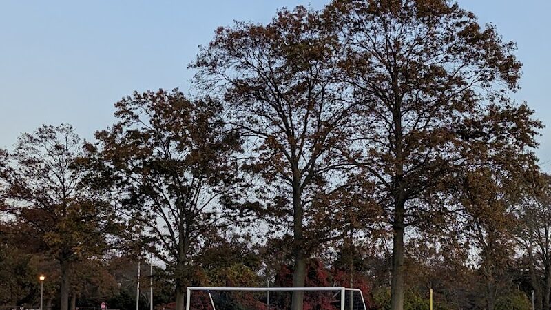 Merrick Road Park - Merrick, NY