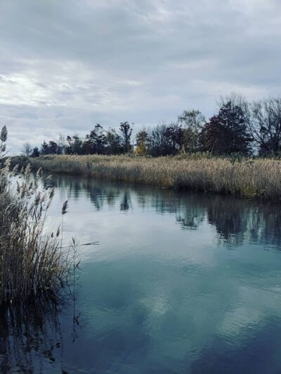 Merrick Road Park - Merrick, NY