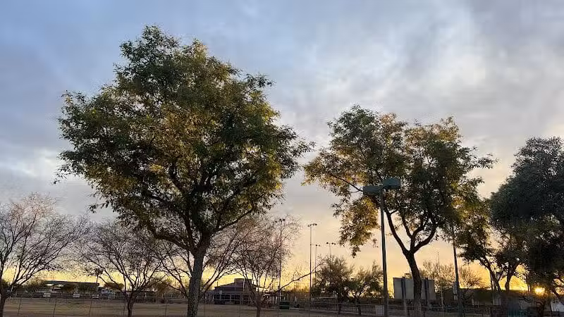 Quail Run Park Off Leash Dog Area - Mesa, AZ