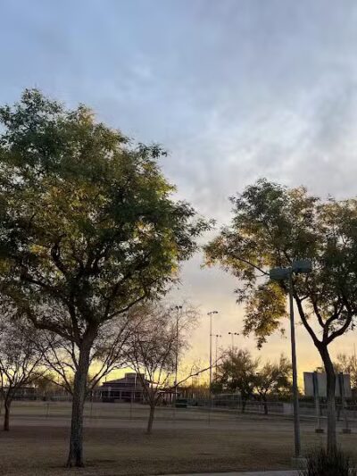 Quail Run Park Off Leash Dog Area - Mesa, AZ