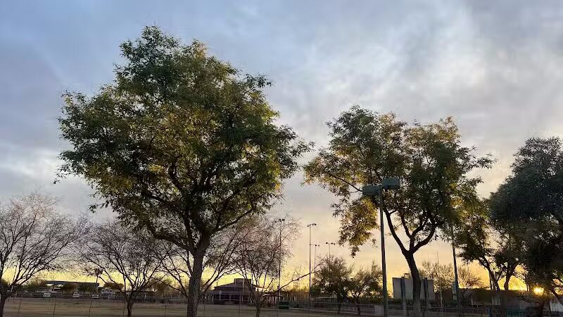 Quail Run Park Off Leash Dog Area - Mesa, AZ