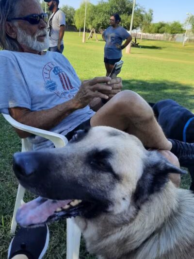 Quail Run Park Off Leash Dog Area - Mesa, AZ