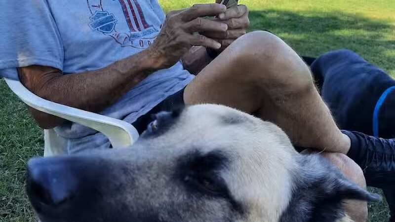 Quail Run Park Off Leash Dog Area - Mesa, AZ