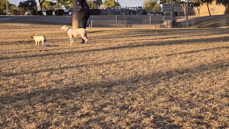 Quail Run Park Off Leash Dog Area - Mesa, AZ