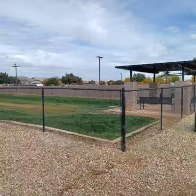 Dog Park - Mesa, AZ