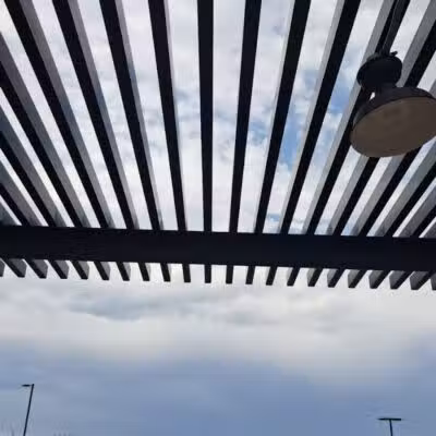 Dog Park - Mesa, AZ