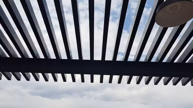 Dog Park - Mesa, AZ