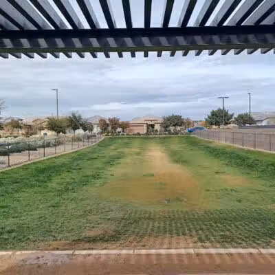 Dog Park - Mesa, AZ