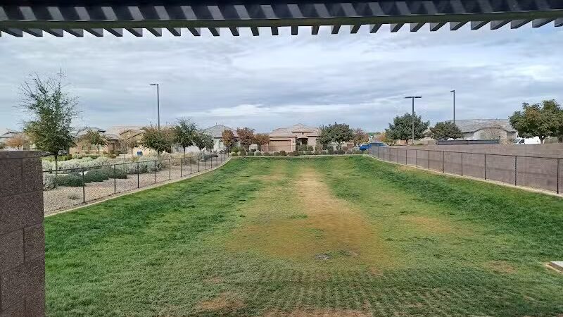 Dog Park - Mesa, AZ