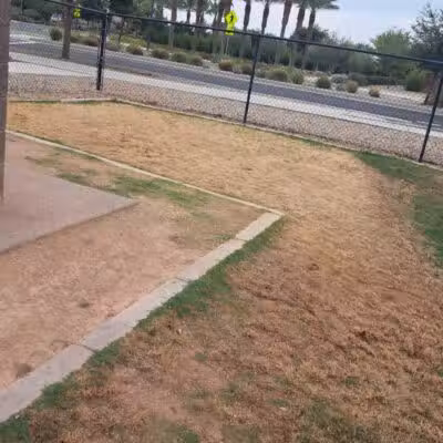 Dog Park - Mesa, AZ