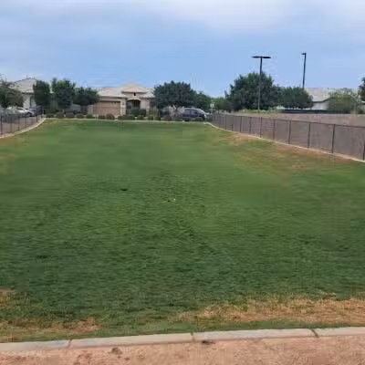 Dog Park - Mesa, AZ