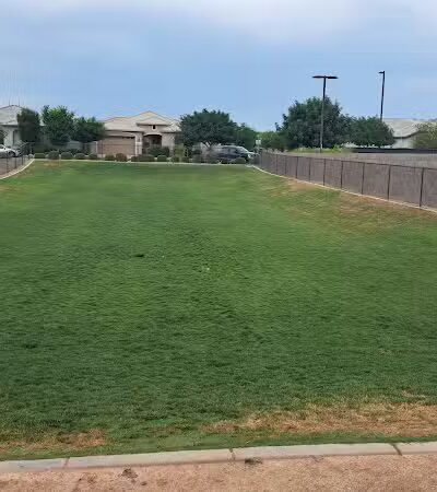Dog Park - Mesa, AZ
