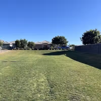 Dog Park - Mesa, AZ