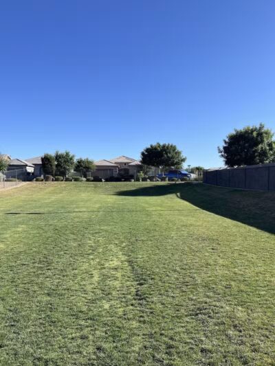 Dog Park - Mesa, AZ
