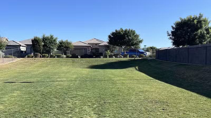 Dog Park - Mesa, AZ