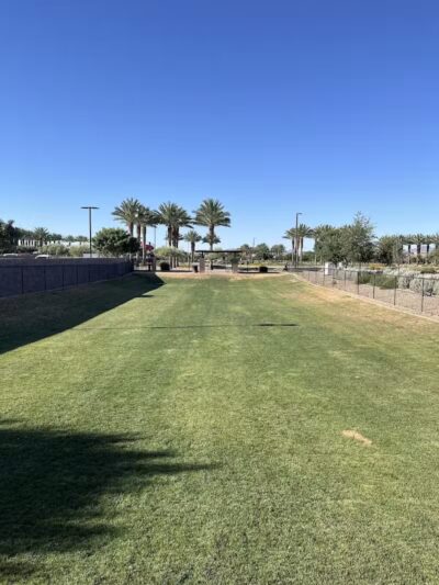 Dog Park - Mesa, AZ