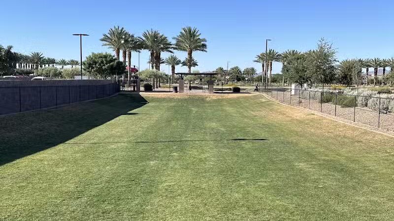 Dog Park - Mesa, AZ