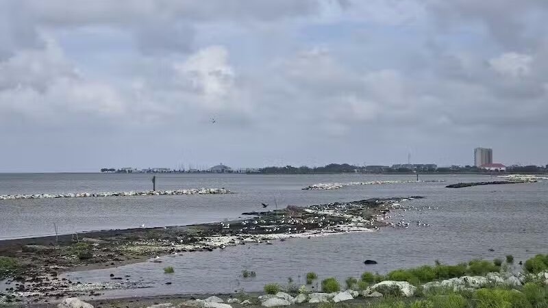 Bonnabel Dog Park - Metairie, LA