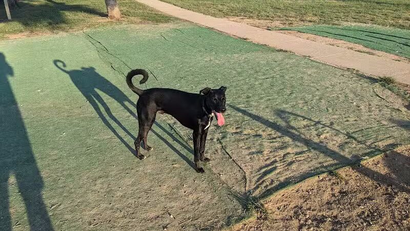Bonnabel Dog Park - Metairie, LA