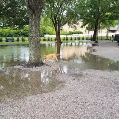 Pontiff Park Dog Park - Metairie, LA