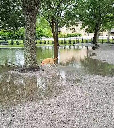 Pontiff Park Dog Park - Metairie, LA