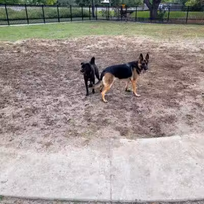 Pontiff Park Dog Park - Metairie, LA