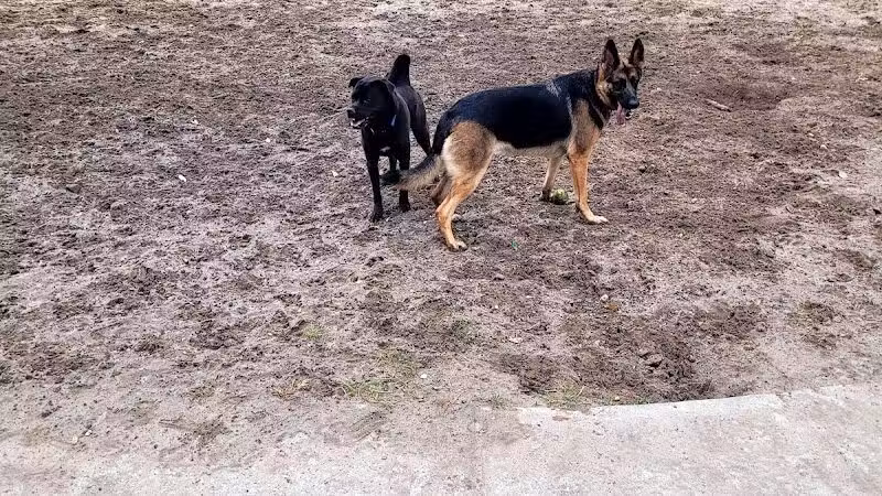 Pontiff Park Dog Park - Metairie, LA
